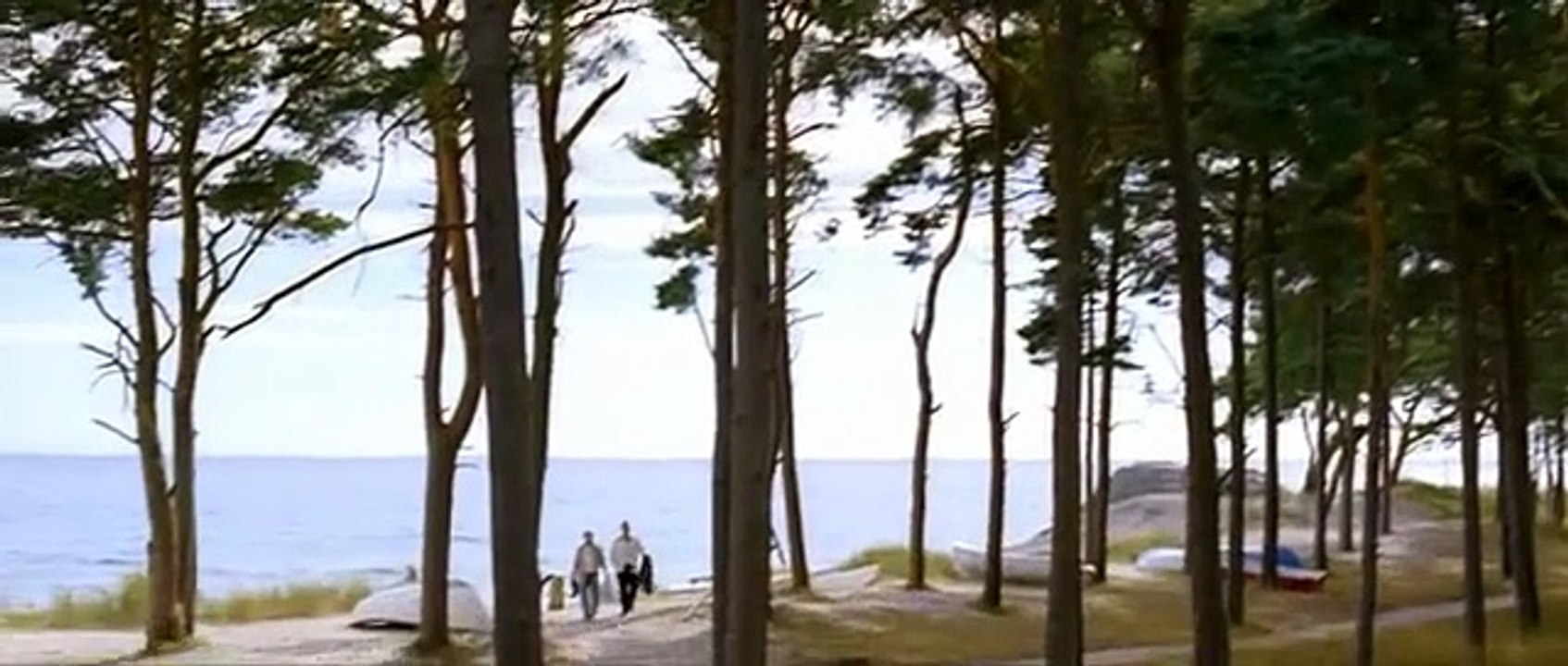 Wallander - Mastermind (S01E06)
