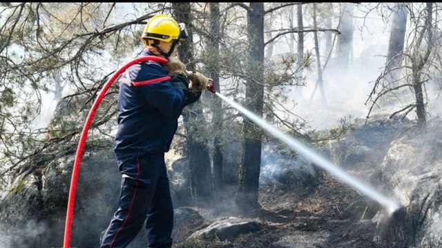 Hérault : incendie « maîtrisé », 200 pompiers toujours sur place « en surveillance »