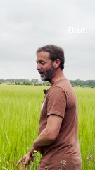 À la découverte des céréales avec Manon Fleury