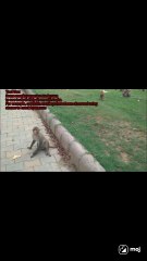 jumping in a lively park, filled with fun and nature's charm!  #ViralVibes #NatureLovers #WildMoments #InstaReels