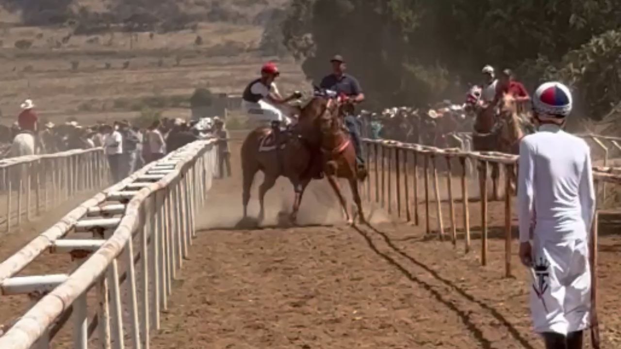 Anxious mare leans on calm companion before race show begins