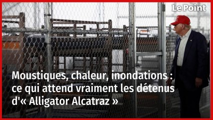 Moustiques, chaleur, inondations : ce qui attend vraiment les détenus d'« Alligator Alcatraz »