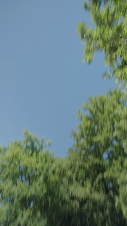Les crèmes solaires fonctionnent elles ?