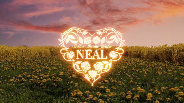 NEAL (Official Audio) Sidhu Moose Wala | Latest Punjabi Songs 2025