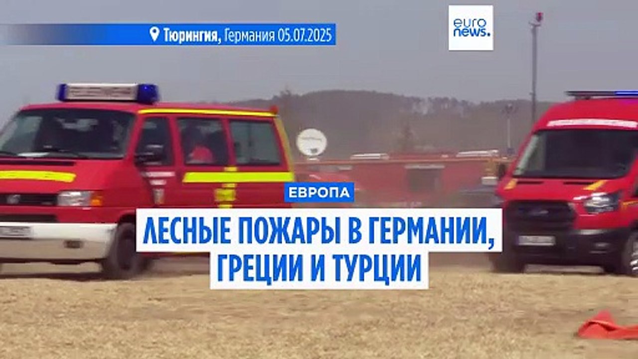 Лесные пожары в Германии, Греции и Турции: пока люди на шаг впереди