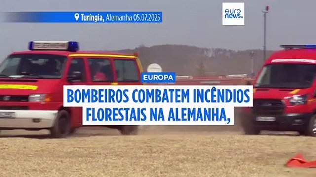 Bombeiros de toda a Europa combatem incêndios florestais que continuam na Alemanha, Grécia e Turquia