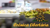 Como impostos distorcem cadeias produtivas na economia | Crônica Libertária - 12/08/20 | ANCAPSU