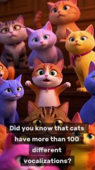 10 Amazing Cat Facts You Never Knew! 🐱