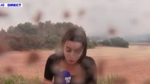 Incendies dans l'Hérault : une journaliste BFMTV très fermement recadrée par un pompier en plein direct