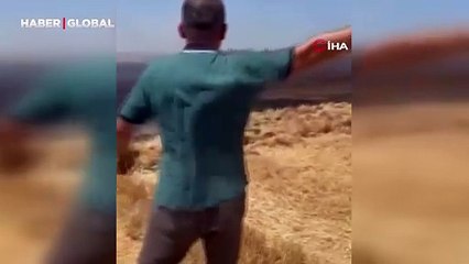 Silivri'de anız yangını: Vatandaşlar seferber oldu