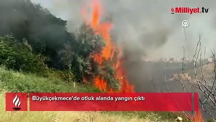 Büyükçekmece'de otluk alanda yangın! Rüzgar nedeniyle büyüdü