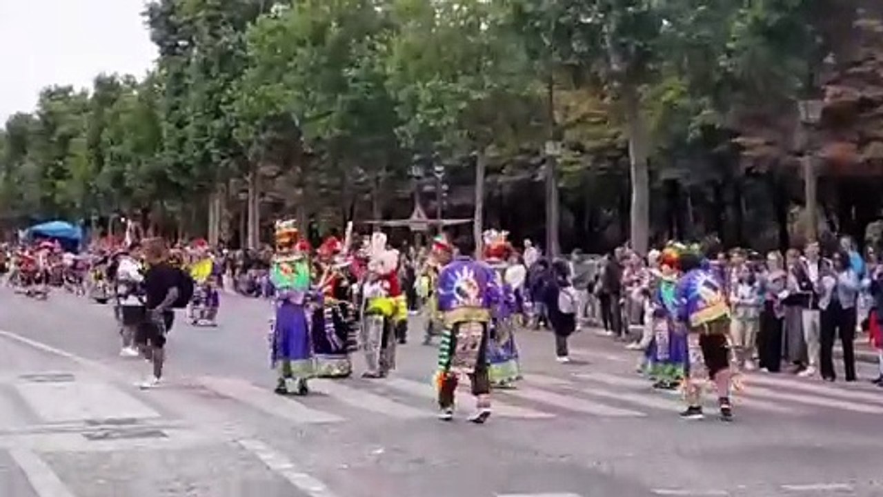 Carnaval tropical sur les Champs-Elysées Paris 6 juillet 2025 3
