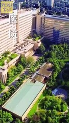 Daddy You Owe Us Five Years Chinese Drama