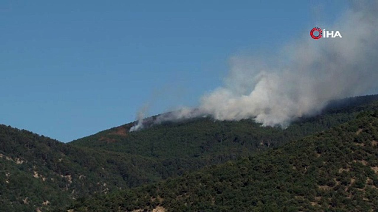 Kastamonu’da orman yangını: Alevlere havadan ve karadan müdahale ediliyor