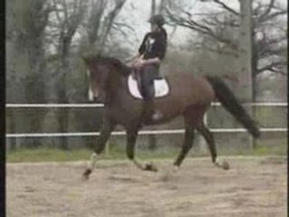 NOBLESSE MONTEE JF PLAT mpg