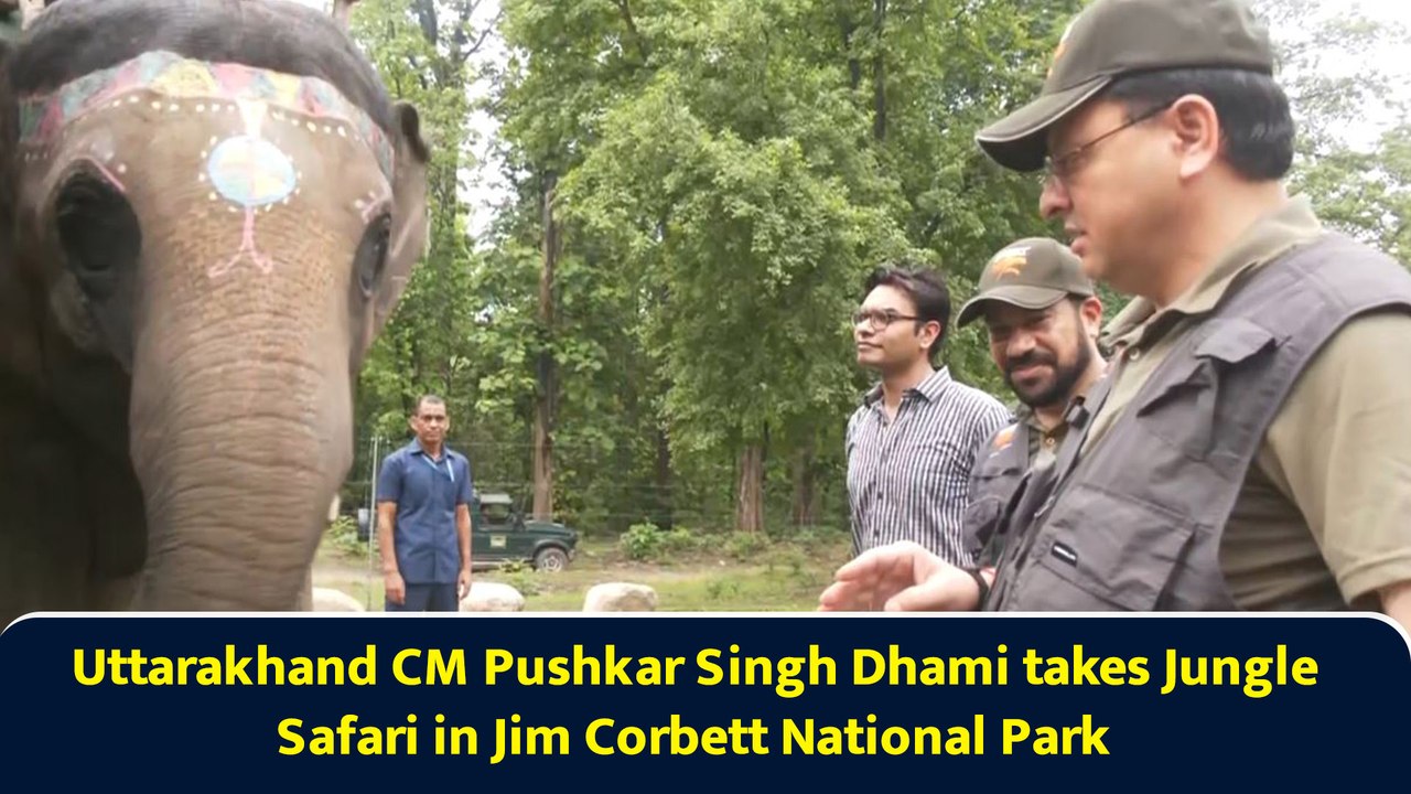 Uttarakhand CM Pushkar Singh Dhami takes Jungle Safari in Jim Corbett National Park