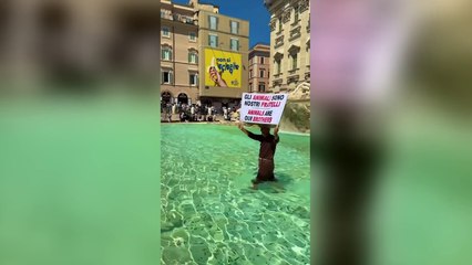 Fontana di Trevi, il frate animalista si tuffa nell'acqua tra lo stupore dei turisti