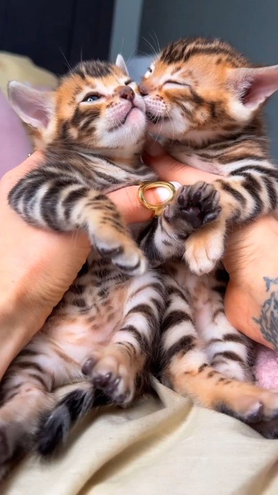 so cute