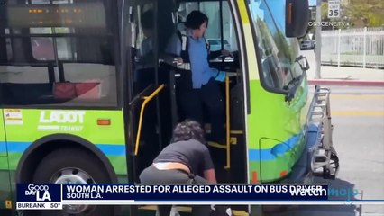 Top 10 Karens Who Finally Faced Justice  (So Far)