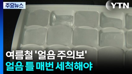 "얼음 틀에 식중독균이?"...여름철 '얼음 주의보' / YTN
