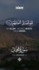 Quran_Recitation_I_Surah_Muhammad_1-3_#quran_#viral_#trendingshorts(360p)