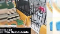 Policía apresa a 