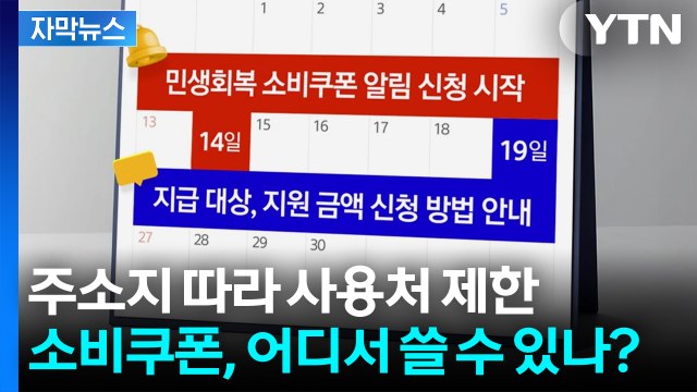 [자막뉴스] 소비쿠폰 어디서 어떻게?...신청부터 사용까지 / YTN