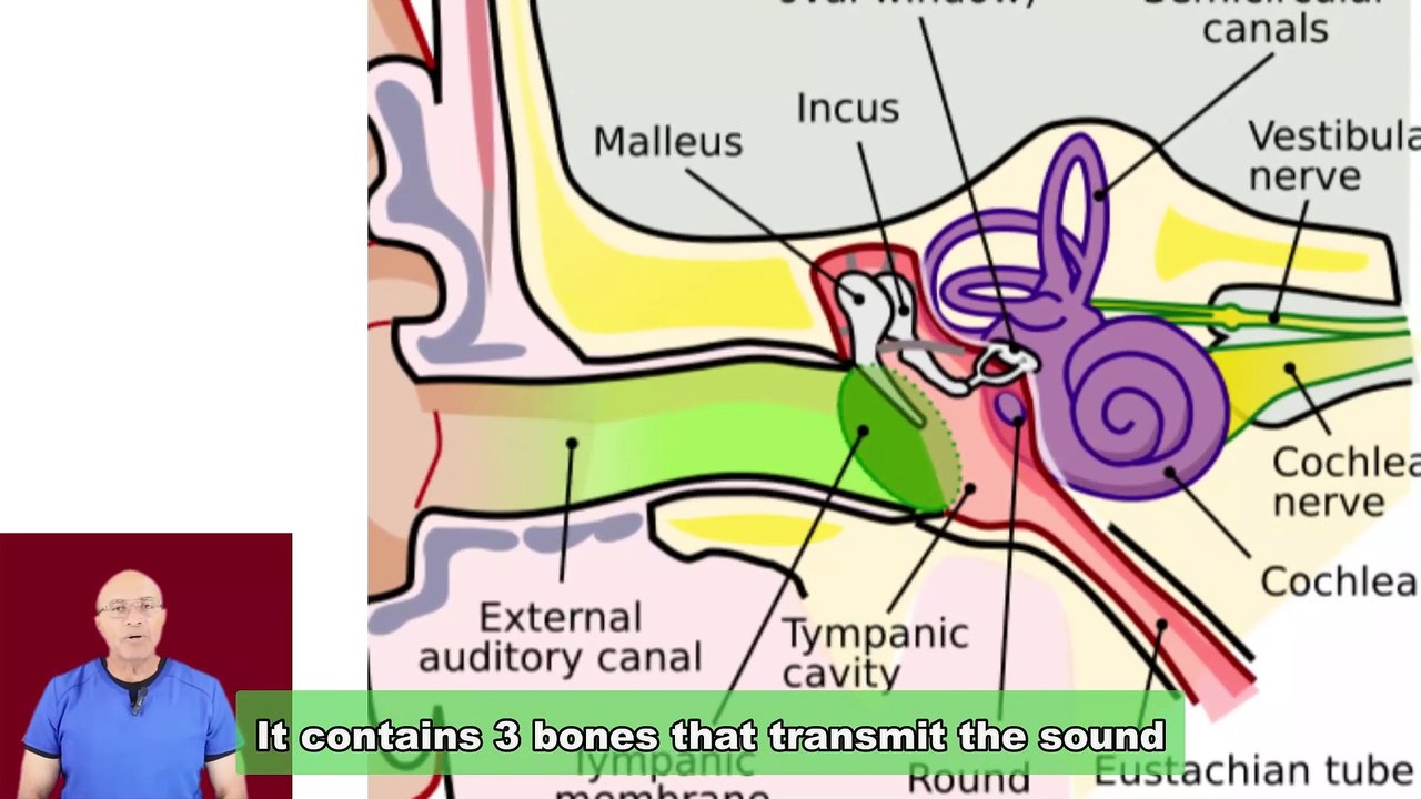 Avoid Serious Risks: Your Essential Guide to Middle Ear Infection Complications
