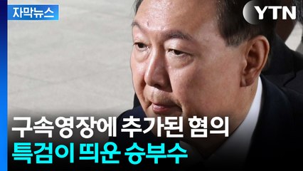 [자막뉴스] 속전속결 내란특검의 '승부수'...尹 구속 사유로 "도망 염려" 적시 / YTN