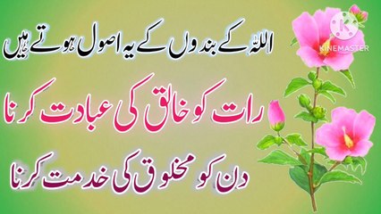 Allah Ke Badon Ke Usool! Best Urdu quotes🔥! Urdu Quotes💥! Urdu Islamic quotes🔥! ISLAMIC URDU MEWAT