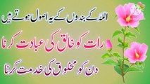Allah Ke Badon Ke Usool! Best Urdu quotes🔥! Urdu Quotes💥! Urdu Islamic quotes🔥! ISLAMIC URDU MEWAT