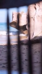 love status nice song, jab se tumko dekha hai sanam