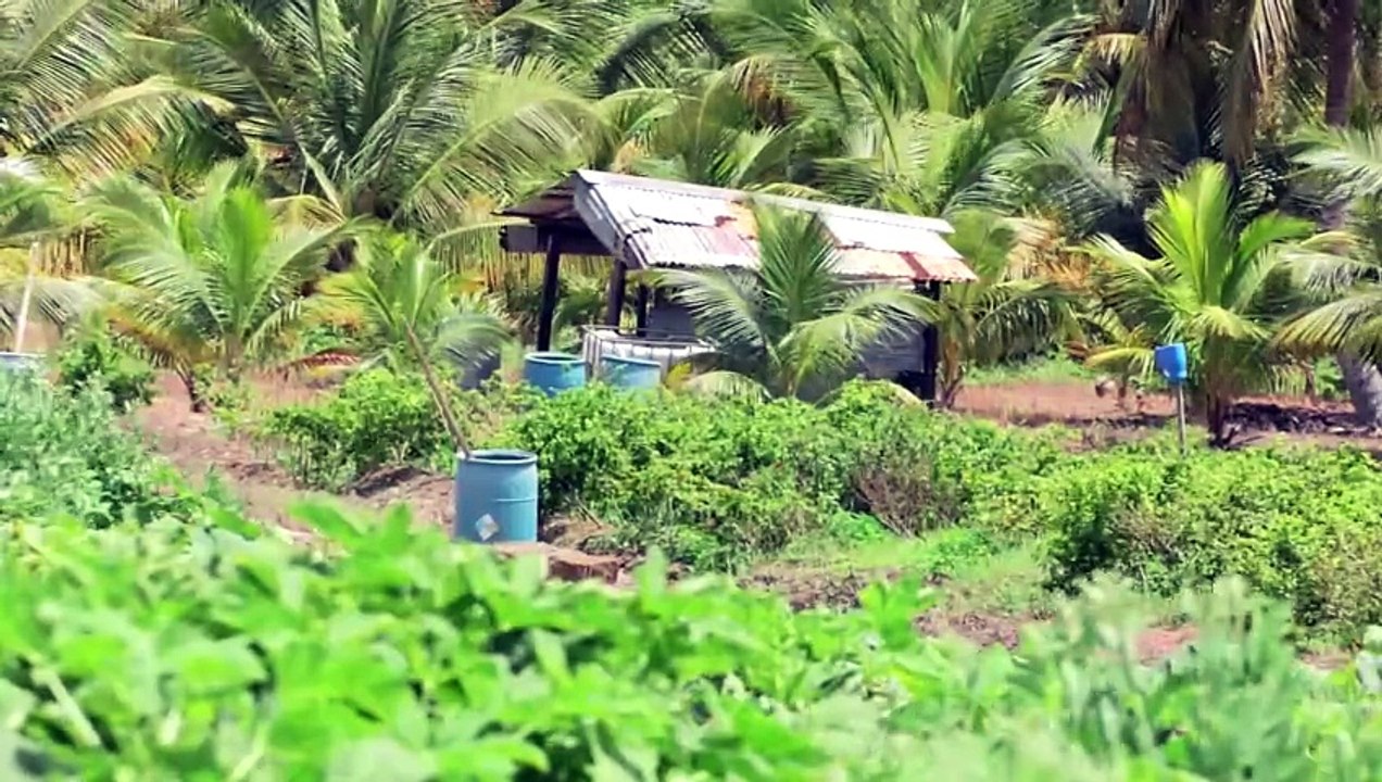 AGRICULTURE MINISTER VISITS LOS IROS FARMERS