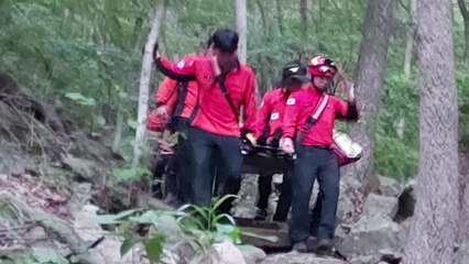 진안 구봉산서 50대 등산객 숨져...체온 40도 넘어 / YTN