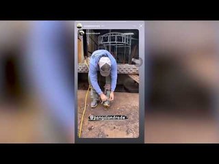 Pangal Andrade mostró cómo quedó su taller tras caída de árbol.