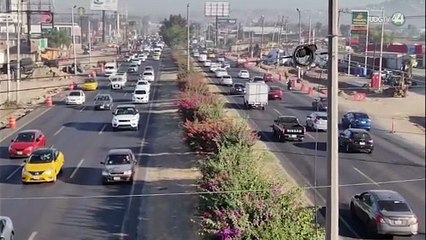 La Línea 5 acaba con el arbolado de la Carretera a Chapala