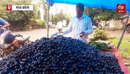 मार्केट में आया सुपरफूड, डायबिटीज-हाई बीपी को डाउन करेगा जामुन, इसकी गुठली भी दवा