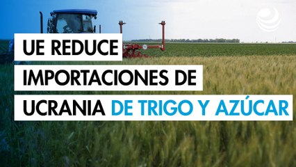 UE reducirá importaciones ucranianas de trigo y azúcar