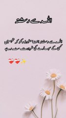 InShot_20250609_105640236