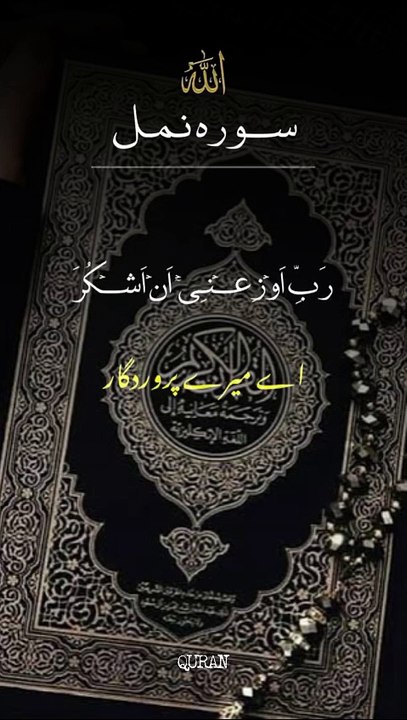 surah namal || 1 million followers #unfrezzmyaccount#islamicknowledge #ajmalrazaqadri #molanatariqjameel #foryou #islamic #quran #capcut #1millionviews #trending #viral #islam