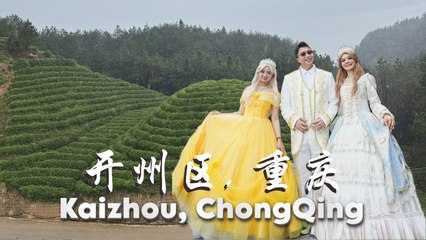 LongZhu Tea Plantation 龙珠茶, KaiZhou 开州, ChongQing 重庆