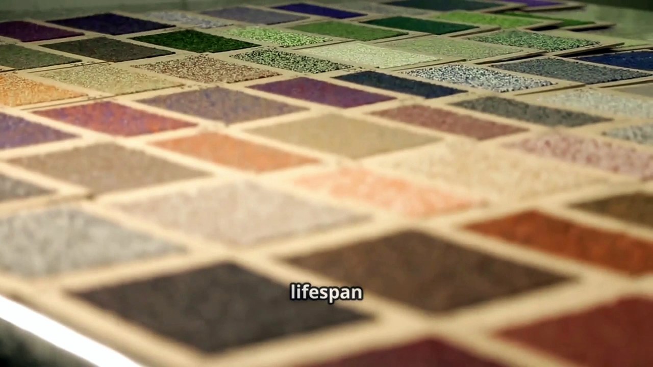 Carpet Lifespan in Denver Homes | Expert Tips from In Home Flooring