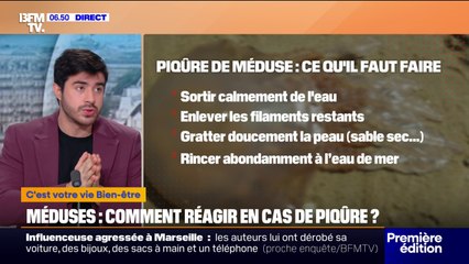 Baignade: comment réagir en cas de piqûre de méduse ?