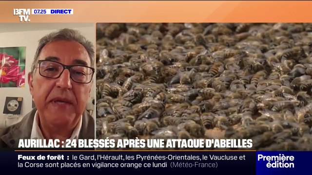 Aurillac: Il ne faut jamais paniquer face à une attaque d'abeilles, explique Walid Loulidi, maître apiculteur
