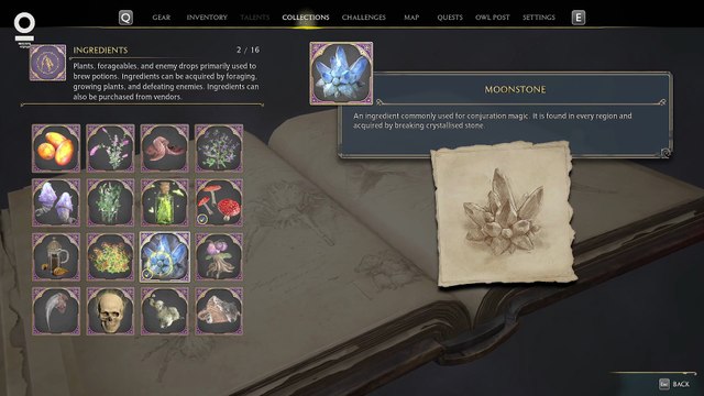 Hogwarts Legacy #17 A New Wand