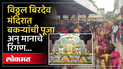 कोल्हापुरच्या विठ्ठल बिरदेव मंदिरातील आगळावेगळा गोपाळकाला साजरा