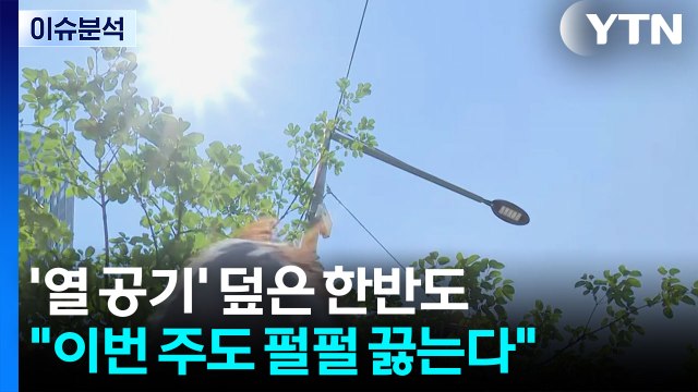 '열 공기' 덮은 한반도... 이번 주도 펄펄 끓는다 / YTN