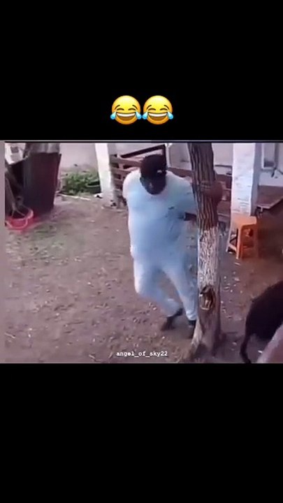 Just for laugh