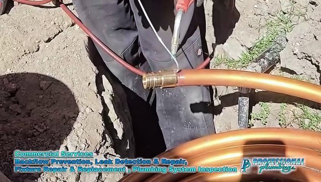 Professional Plumbing Inc. - Commercial Plumbing in Orange County, CA