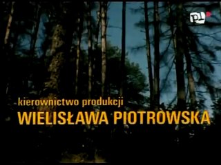 Okruchy wojny 1985 film polski